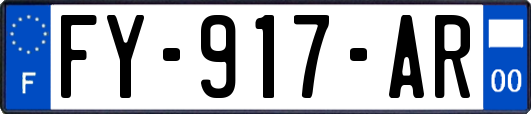 FY-917-AR