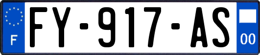 FY-917-AS