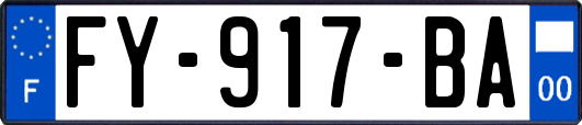 FY-917-BA