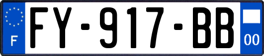 FY-917-BB