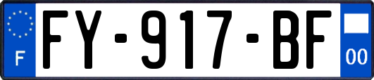FY-917-BF