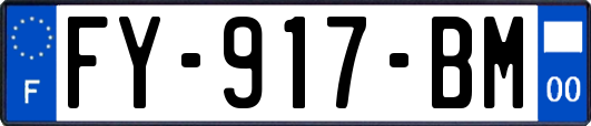 FY-917-BM