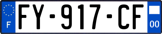 FY-917-CF
