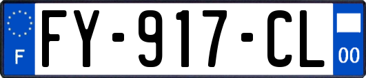 FY-917-CL