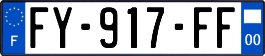 FY-917-FF