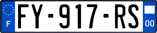 FY-917-RS