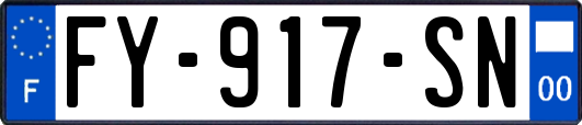 FY-917-SN