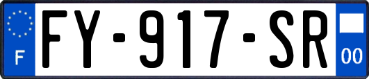 FY-917-SR
