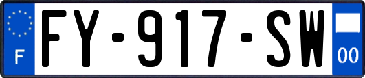 FY-917-SW