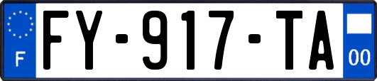 FY-917-TA