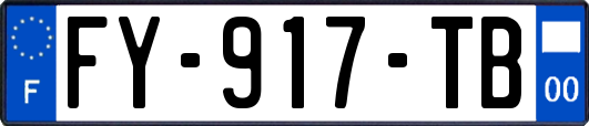 FY-917-TB