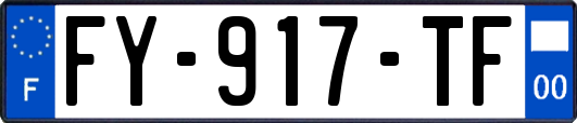 FY-917-TF