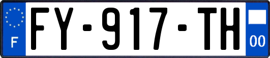 FY-917-TH