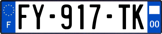 FY-917-TK