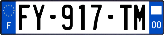 FY-917-TM