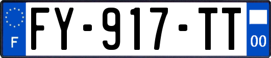 FY-917-TT