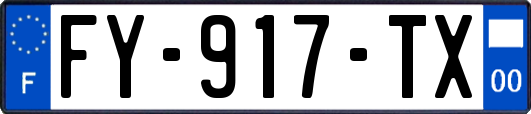 FY-917-TX
