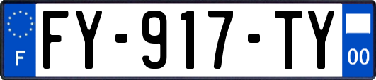 FY-917-TY