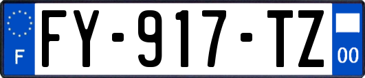 FY-917-TZ
