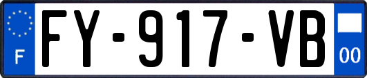 FY-917-VB