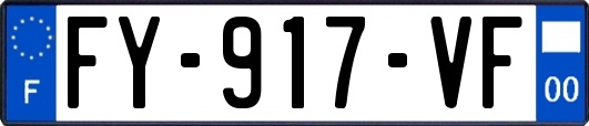 FY-917-VF