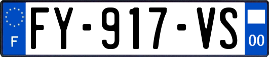 FY-917-VS