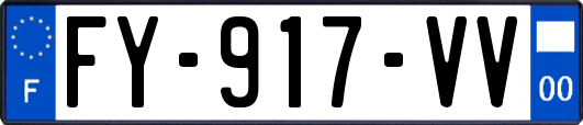 FY-917-VV