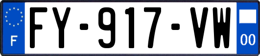 FY-917-VW
