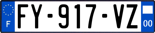 FY-917-VZ