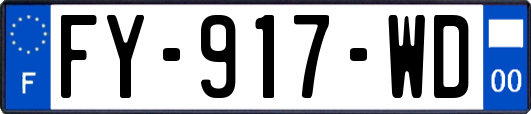 FY-917-WD