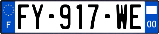 FY-917-WE