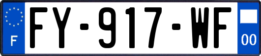 FY-917-WF