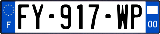 FY-917-WP