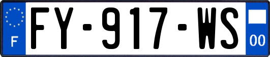 FY-917-WS