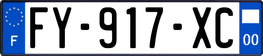 FY-917-XC
