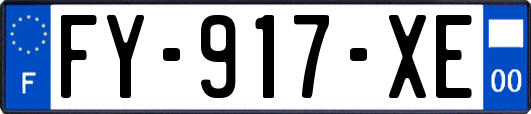 FY-917-XE