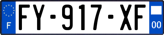 FY-917-XF
