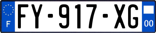 FY-917-XG