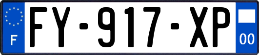 FY-917-XP