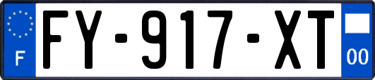 FY-917-XT