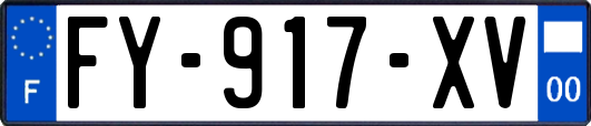 FY-917-XV