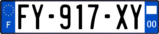 FY-917-XY
