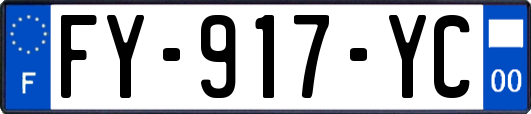FY-917-YC