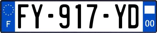 FY-917-YD