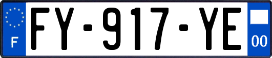 FY-917-YE