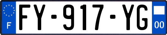 FY-917-YG