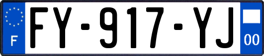 FY-917-YJ