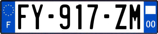 FY-917-ZM