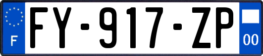 FY-917-ZP
