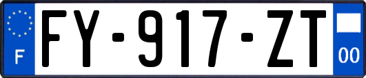 FY-917-ZT
